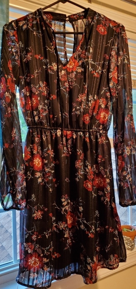 Xhilaration spring/fall long-sleeve dress